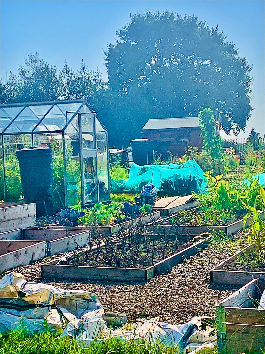 Eden Grange Allotments